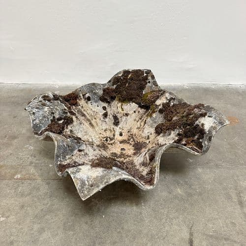 Small Willy Guhl 'Elefantenohr' (Elephant's Ear) Planter, Switzerland circa 1960