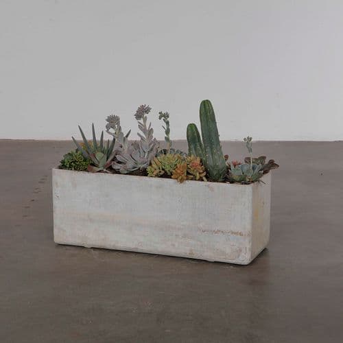Large Willy Guhl Planter with Succulents, 1960s