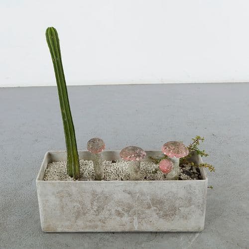 Set of Three Concrete Garden Mushrooms, 1960s
