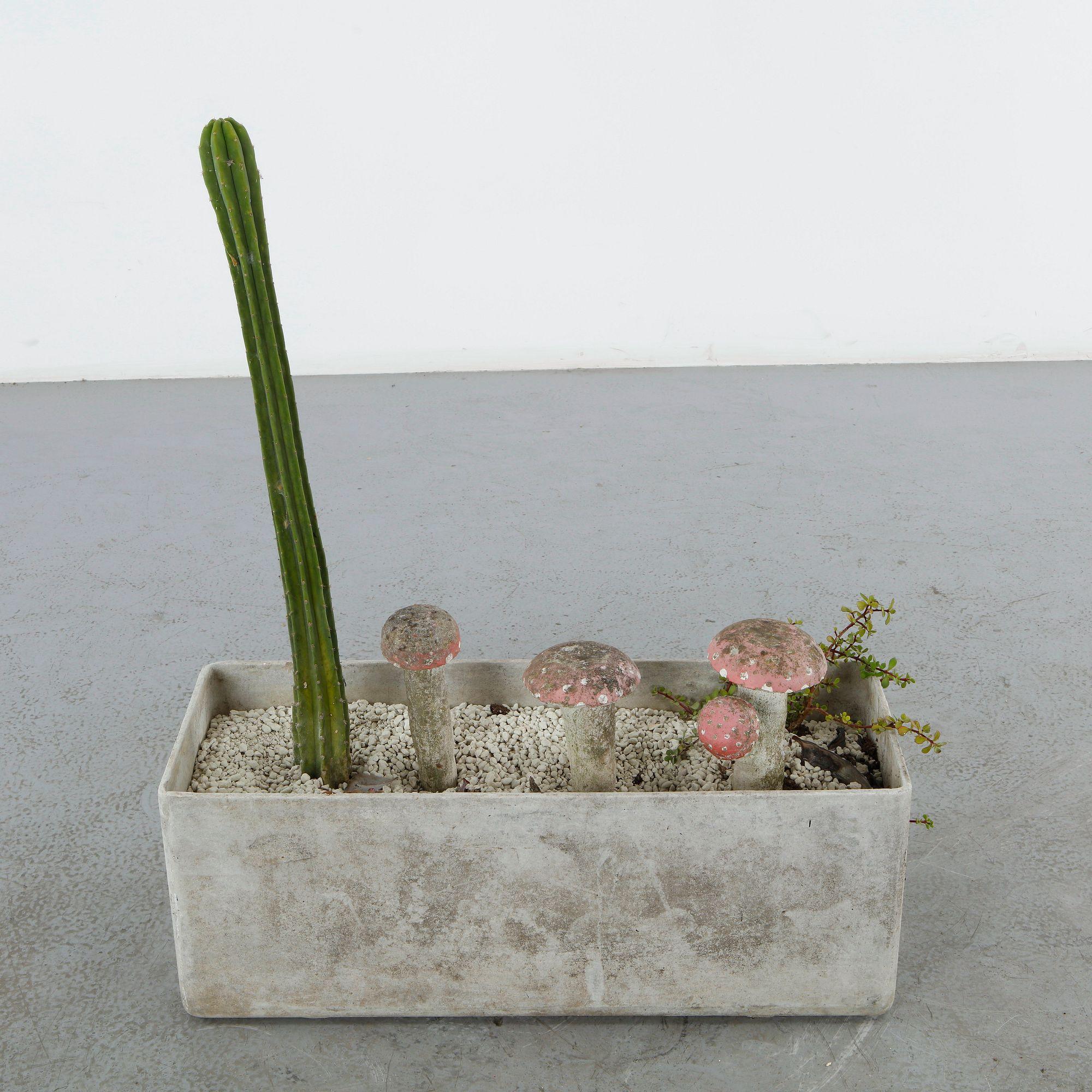 Set of Three Concrete Garden Mushrooms, 1960s