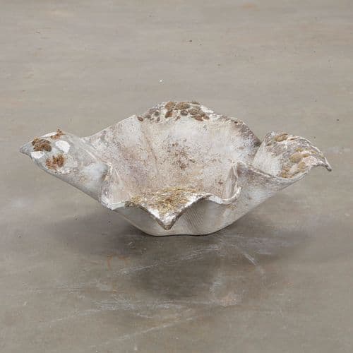 Willy Guhl, Small Elephant Ear Planter, 1960s