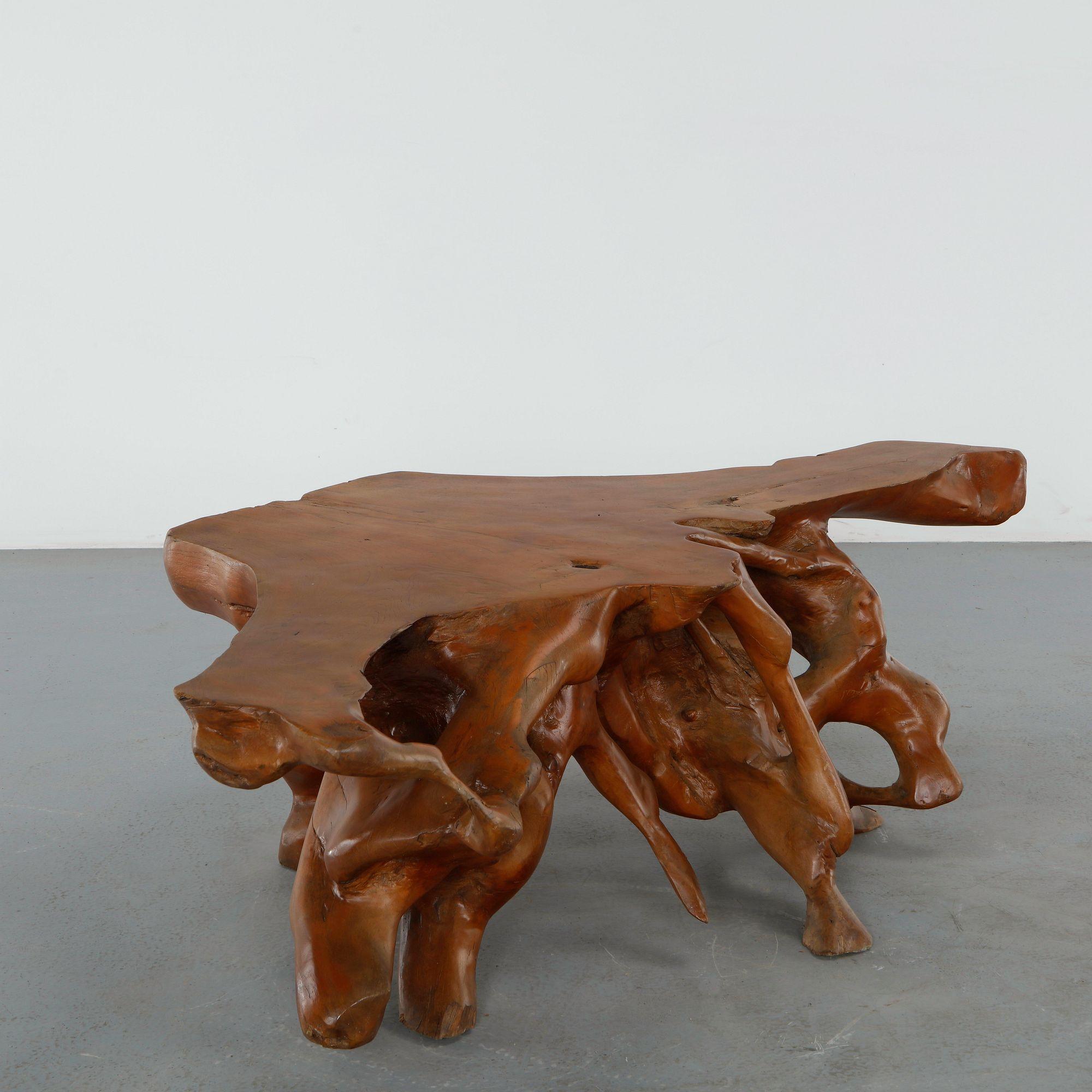 Outdoor Root Coffee Table, 1960s